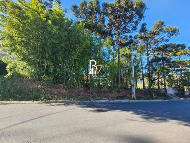 Área no Bairro Mauá 3.087m² R$ 2.950.000,00 Industrial Colombo