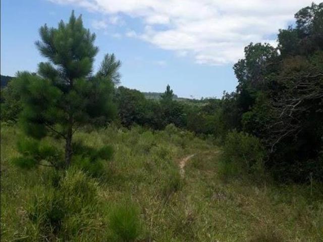 Área à venda, 1260000 m² por R$ 4.410.000,00 Itapuã Viamão/RS