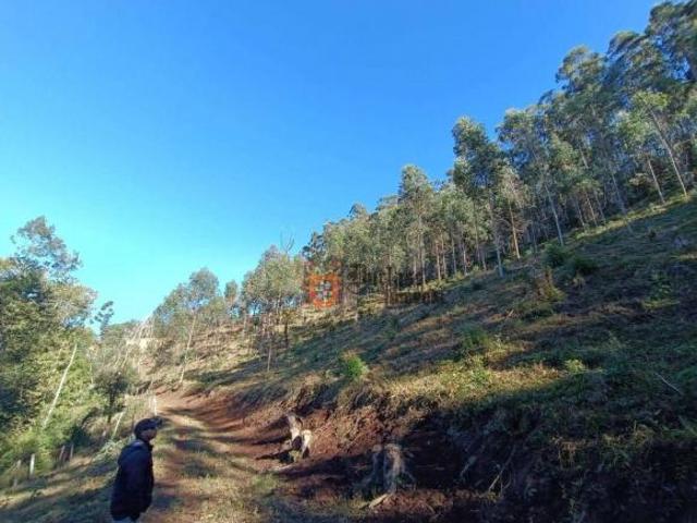 Área à venda, 145200 m² por R$ 1.300.000,00 Bom Jardim Camanducaia/MG