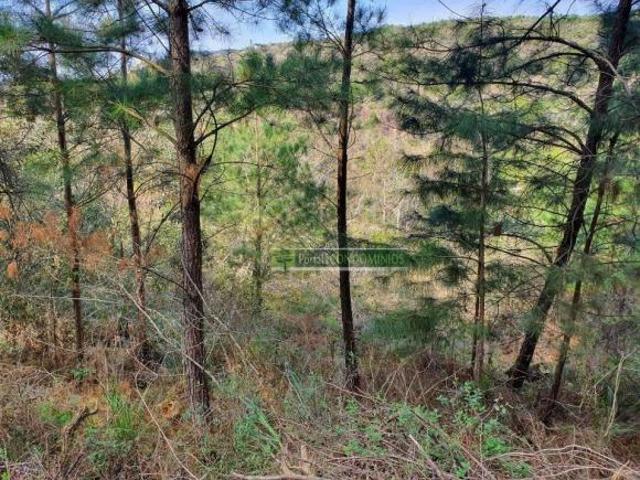 Área à venda, 15600 m² por R$ 300.000,00 Centro Parai/RS