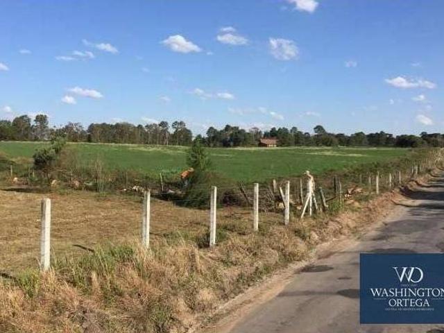 Área à venda, 20500 m² por R$ 2.829.000,00 Campo Largo da Roseira São José dos Pinhais/PR