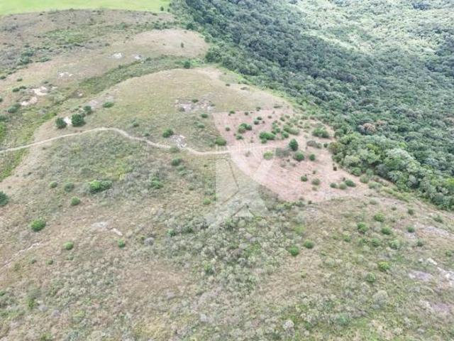 Área à venda, 20925 m² por R$ 3.200.000,00 Balsa Nova São Luiz do Purunã/PR