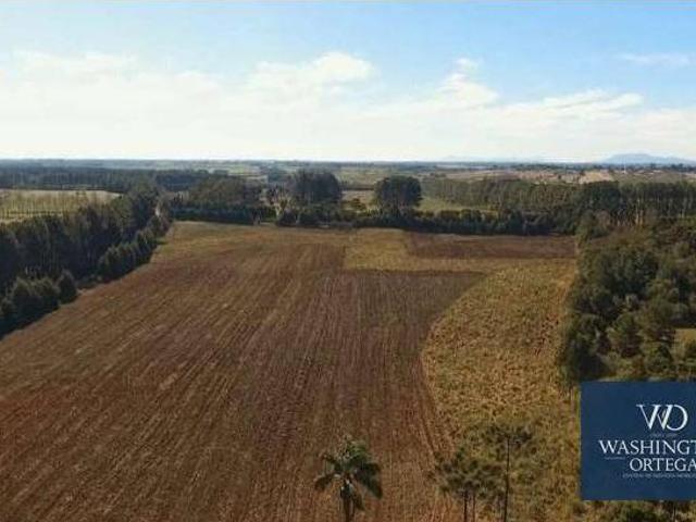 Área à venda, 20045 m² por R$ 1.904.275,00 Campo Largo da Roseira São José dos Pinhais/PR