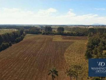 Área à venda, 20045 m² por R$ 1.904.275,00 Campo Largo da Roseira São José dos Pinhais/PR