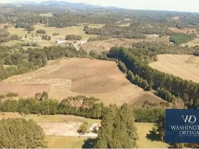 Área à venda, 20045 m² por R$ 1.904.275,00 Campo Largo da Roseira São José dos Pinhais/PR
