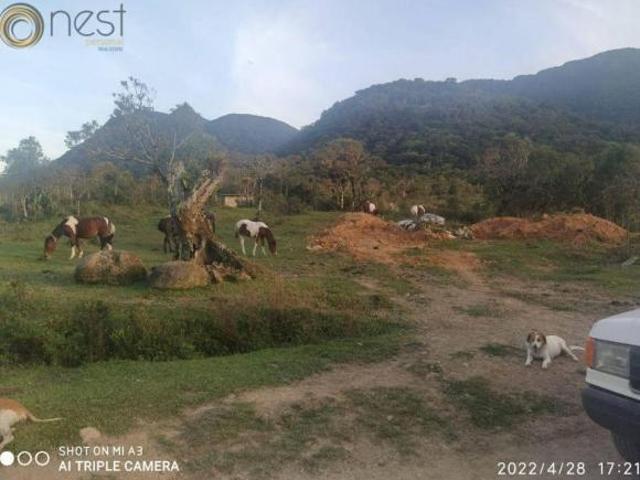 Área à venda, 28314000 m² por R$ 20.000.000,00 Paiol de Baixo Campina Grande do Sul/PR
