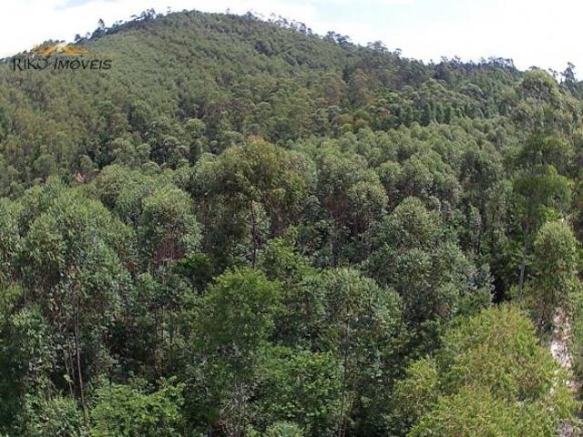 Área à venda, 290400 m² por R$ 1.200.000,00 Centro Santa Branca/SP