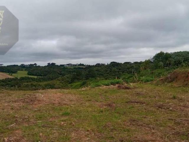 Área à venda, 30893 m² por R$ 6.178.600,00 Cachoeira São José dos Pinhais/PR