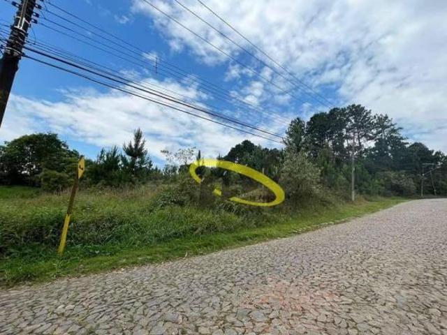 Área à venda, 4973 m² por R$ 2.500.000,00 Granja Viana Cotia/SP