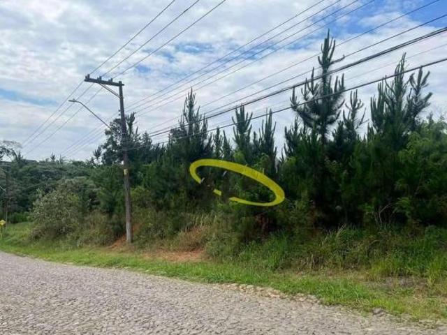 Área à venda, 4973 m² por R$ 2.500.000,00 Granja Viana Cotia/SP