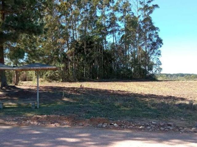 Área à venda, 60500 m² por R$ 7.260.000,00 Cotia São José dos Pinhais/PR