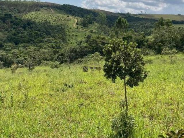 Área à venda, 650000 m² por R$ 880.000 Lima Duarte Lima Duarte/MG