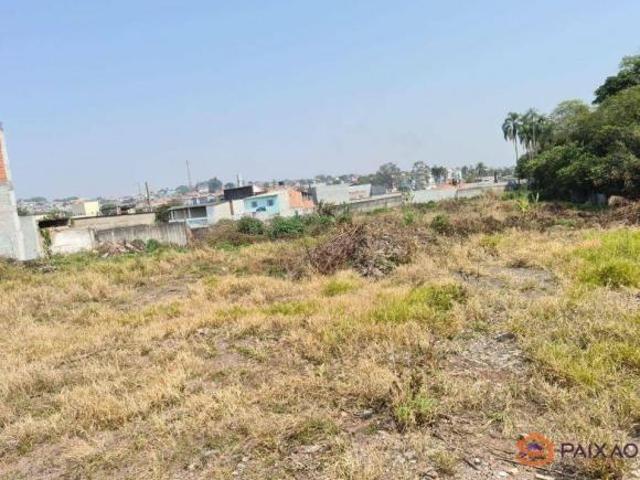 Área à venda, 6500 m² por R$ 9.500.000,00 Jardim Dona Benta Suzano/SP