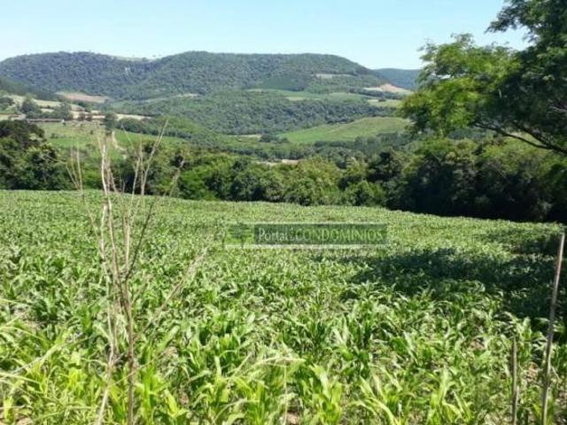 Área à venda, 82160 m² por R$ 4.000.000,00 Nossa Senhora do Horto São Jorge/RS