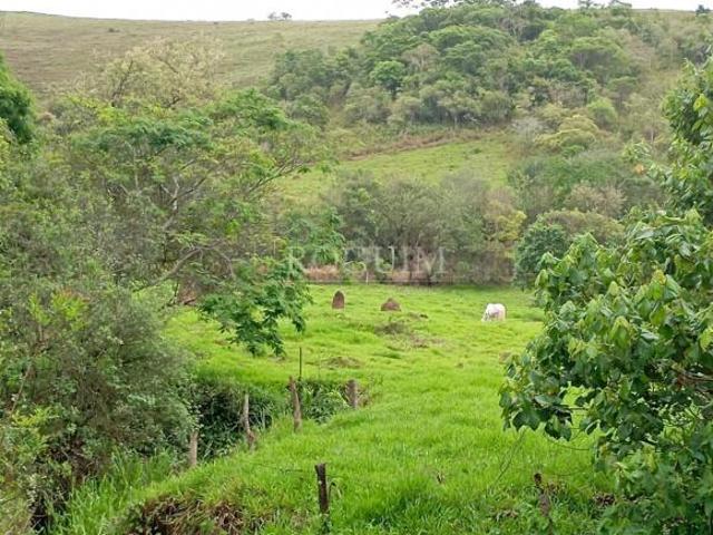 Área à Venda de 30 Hectares com Rio na Divisa e Fácil Acesso em Andrelândia MG