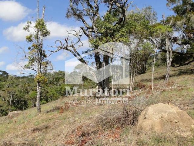 Área à venda em Campos do Jordão