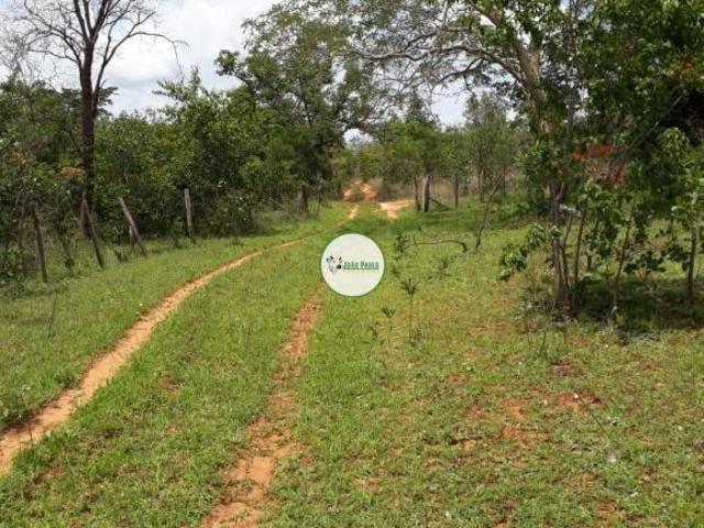 Área a venda em Januária MG 282 HA RESERVA, PECUÁRIA e EUCALIPTO