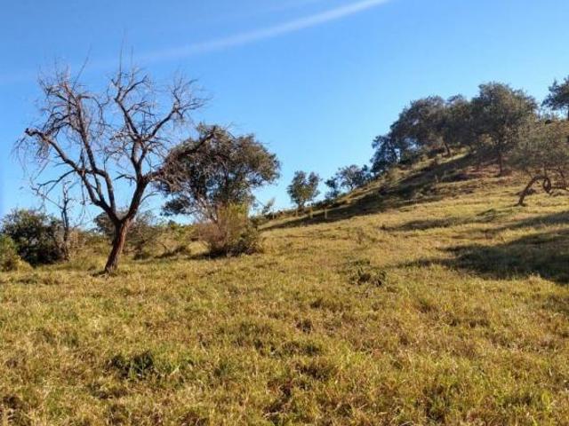 Área à venda em Sorocaba, Caputera, com 178400 m²
