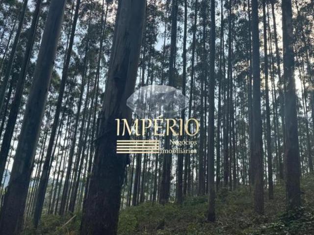 Área à venda em Três Coroas RS, bairro Furnas, com 22 hectares de área. Aproveite essa oportunidade