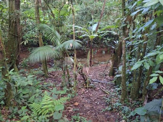 Área à venda em Ubatuba, Corcovado, com 189000 m²
