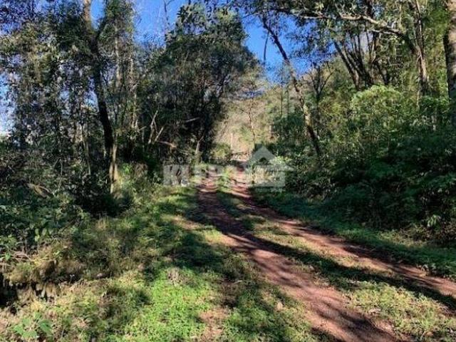Área à venda no bairro Nova Columbia Bom Princípio/RS