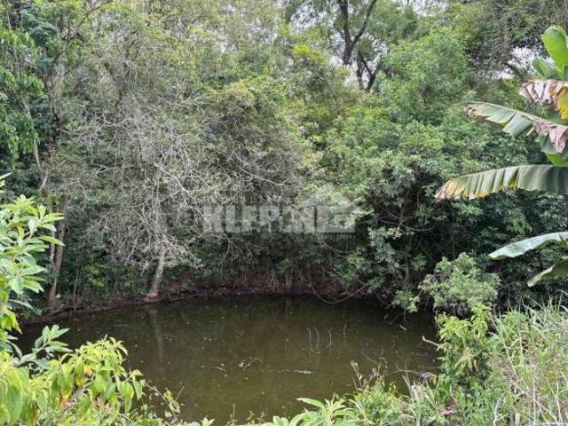 Área à venda no bairro Santa Teresinha Bom Princípio/RS