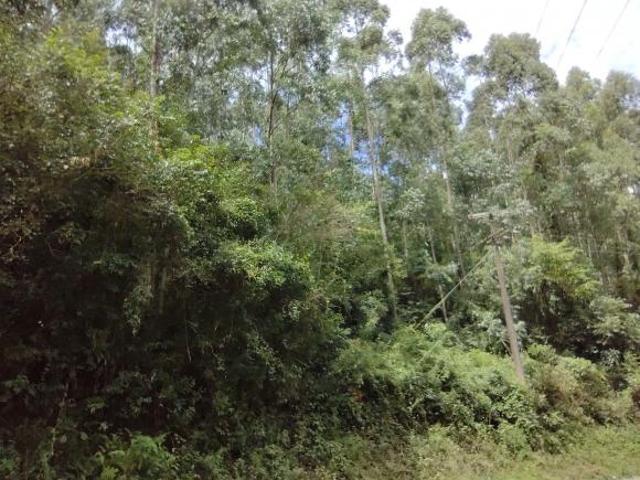 Área à venda Santo Antônio de Castro Carlos Barbosa/RS