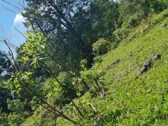Área à venda Rio Grande São Bernardo do Campo SP