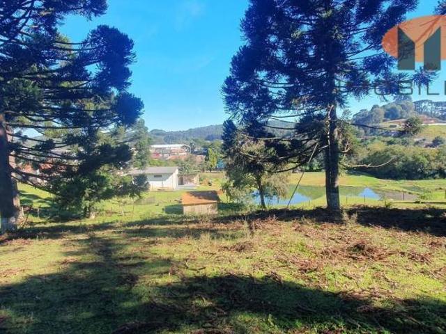 Área Almirante Tamandaré bairro Areias