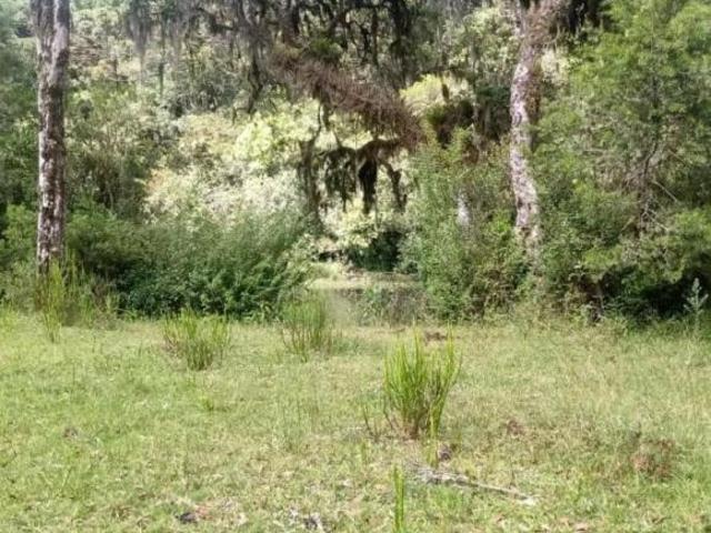 Área Bairro Vila Elétra