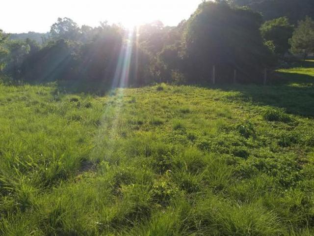 Area Bairro Floresta