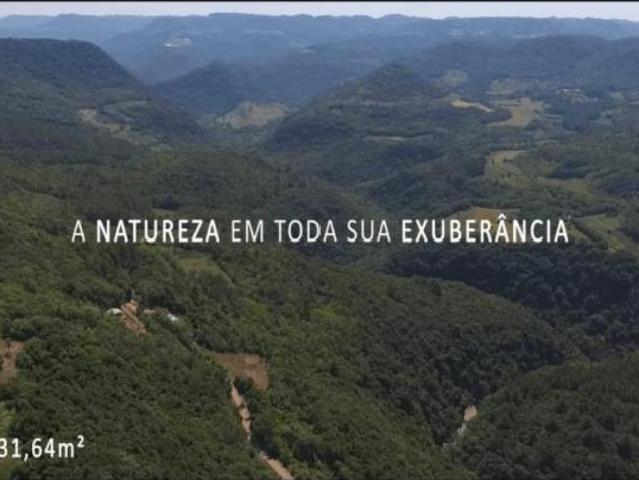 Area Bairro Linha Araripe