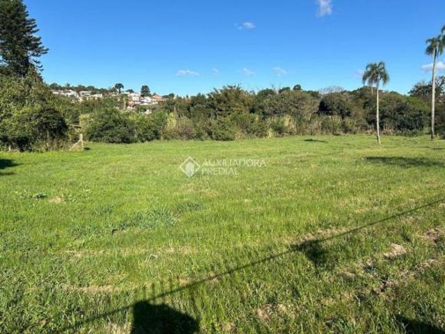 Área com 65.358,00m2 de área total. Em Novo Hamburgo bairro Guarani. Com fácil acesso à RS 239 e BR