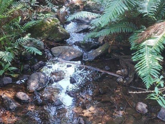 Área com 6,8 hectares, perto do centro de São Chico!