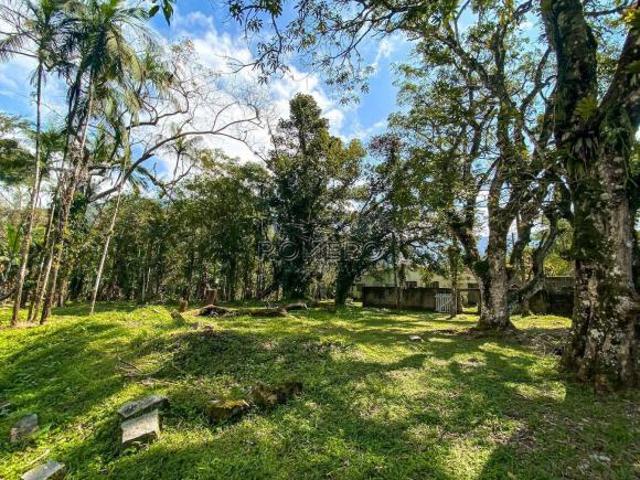 Área com 0 quarto, Sertão da Quina, Ubatuba R$ 950 mil, Cod: 2184
