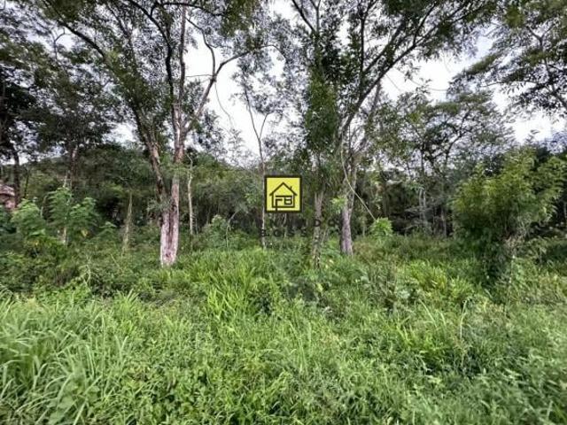 Área com 13.384,50m², sendo 72,80m² de frente para a RS115 !