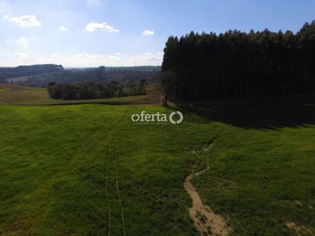 Área com 10 alqueires em Antônio Olinto