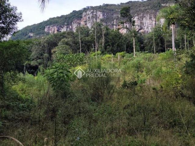 Área com 23 hectares em Gramado