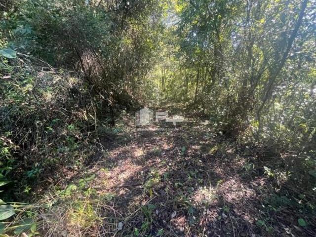 ÁREA COM MAIS DE 3 HECTARES NO SÃO PEDRO