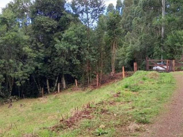 área, com maravilhosa e deslumbrante vista. Bairro Linha Imperial