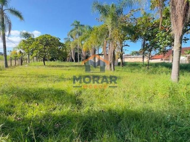 Area comercial com 2.702m², rodovia lado mar