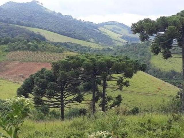Área Comercial de 911 hectares com Pastagens e Eucaliptos em Centro, Passa Quatro, MG