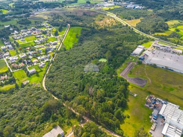 Área Comercial/Residencial para Venda no Bairro Miringuava São José dos Pinhais