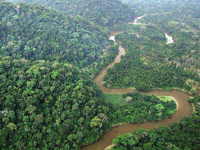 Área de Compensação e Preservação Bioma Mata Atlântica CETESB