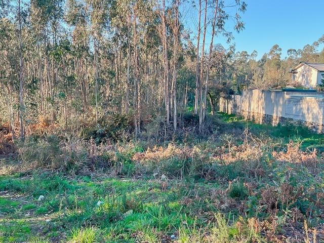 Área de construção em Braga