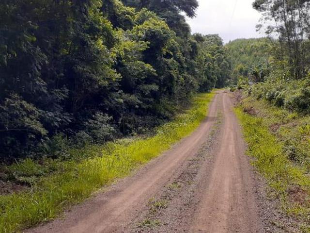 Área de terra, Morro Reuter RS