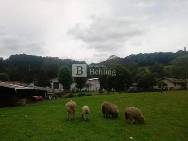ÁREA DE TERRA NO BAIRRO FLORESTA EM GRAMADO!