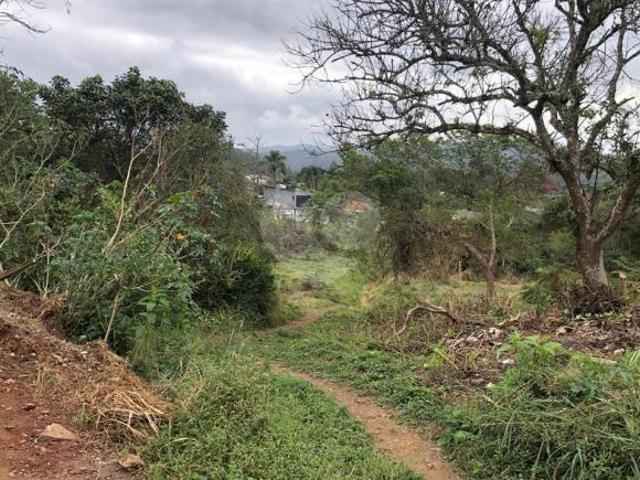 Área de Terra à venda em Vila são pedro SP