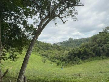ÁREA DE TERRA AMPLA E VERSÁTIL EM CARLOS BARBOSA