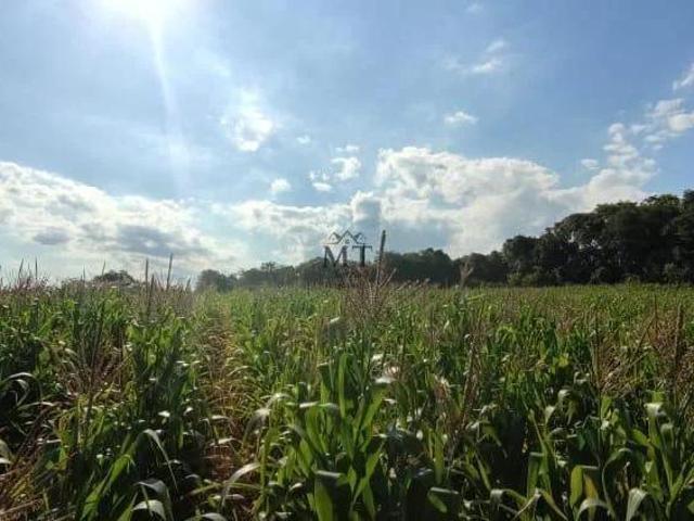 Área de terra bairro Arroio Bonito, São José Do Hortêncio. RS